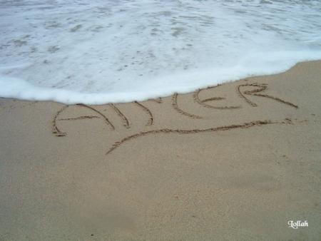 aimer
